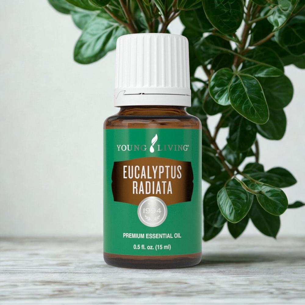 🌱 EUCALYPTUS RADIATA ESSENTIAL OIL 15ML by YOUNG LIVING. 🌱NEW🌱